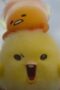 Nonton Film Gudetama: An Eggcellent Adventure Season 1 Episode 10 Terbaru Nonton Film Gudetama: An Eggcellent Adventure Season 1 Episode 10 Terbaru