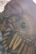 Nonton Film Kamen Rider Black Sun Season 1 Episode 8 Terbaru