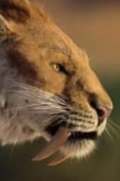 Nonton Film Life on Our Planet Season 1 Episode 7 Terbaru