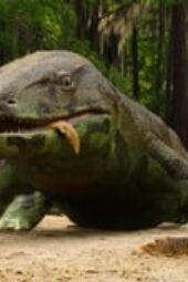 Nonton Film Life on Our Planet Season 1 Episode 1 Terbaru