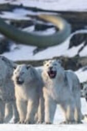 Nonton Film Life on Our Planet Season 1 Episode 8 Terbaru