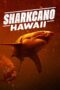 Nonton Film Sharkcano: Hawaii (2023) Terbaru Nonton Film Sharkcano: Hawaii (2023) Terbaru