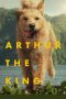 Nonton Film Arthur the King (2024) Terbaru Nonton Film Arthur the King (2024) Terbaru