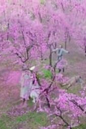Nonton Film The Legend of the Condor Heroes Season 1 Episode 29 Terbaru