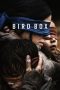 Nonton Film Bird Box (2018) Terbaru Nonton Film Bird Box (2018) Terbaru