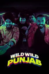 Nonton Film Wild Wild Punjab (2024) Terbaru