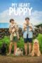 Nonton Film My Heart Puppy (2023) Terbaru Nonton Film My Heart Puppy (2023) Terbaru