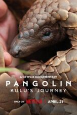 Nonton Film Pangolin: Kulu’s Journey (2025) Terbaru