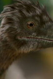 Nonton Film The Dinosaurs Season 1 Episode 1 Terbaru