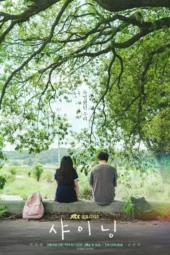 Nonton Film Still Shining (2026) Terbaru