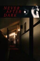 Nonton Film Never After Dark (2026) Terbaru